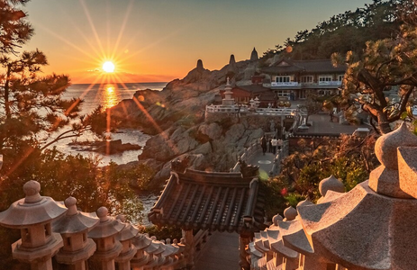 오피라이프 핫플레이스 부산해동용궁사