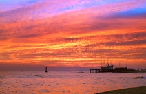 오피라이프 강원정동진