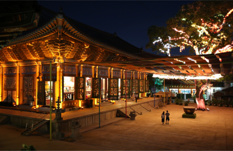 오피라이프 핫플레이스 서울조계사