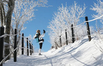 오피라이프 강원설악산 국립공원