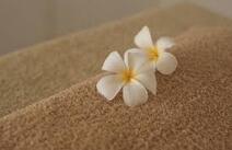 오피라이프 휴게텔